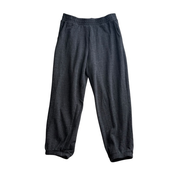 American Eagle Outfitters Gray Fleece Pants - Picture 2 of 7